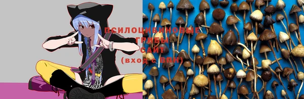 герыч Балахна